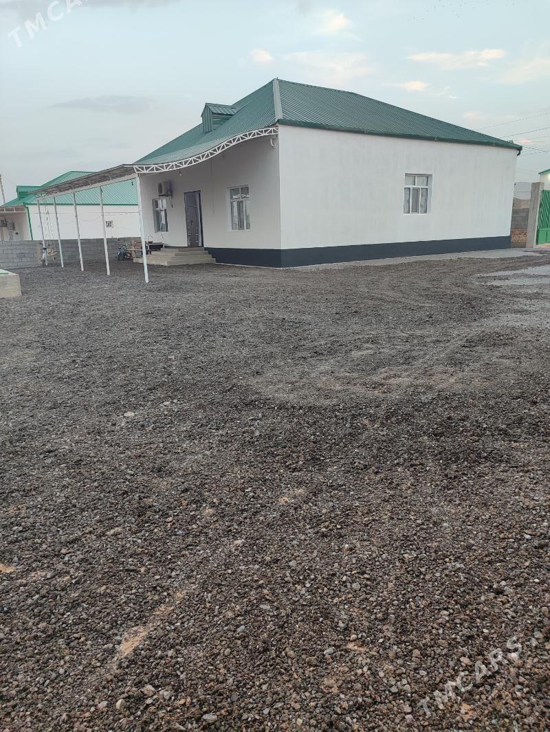 Anew Magtymguly - Ашхабад - img 5