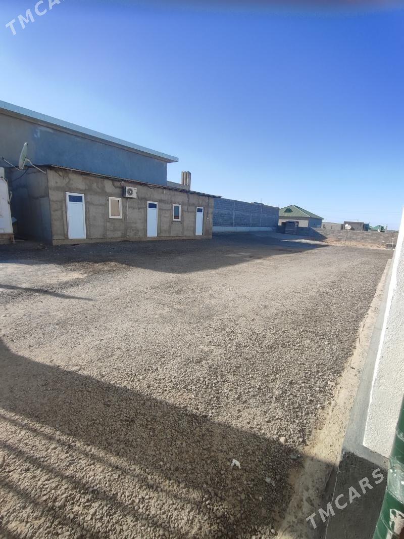 Anew Magtymguly - Ашхабад - img 3