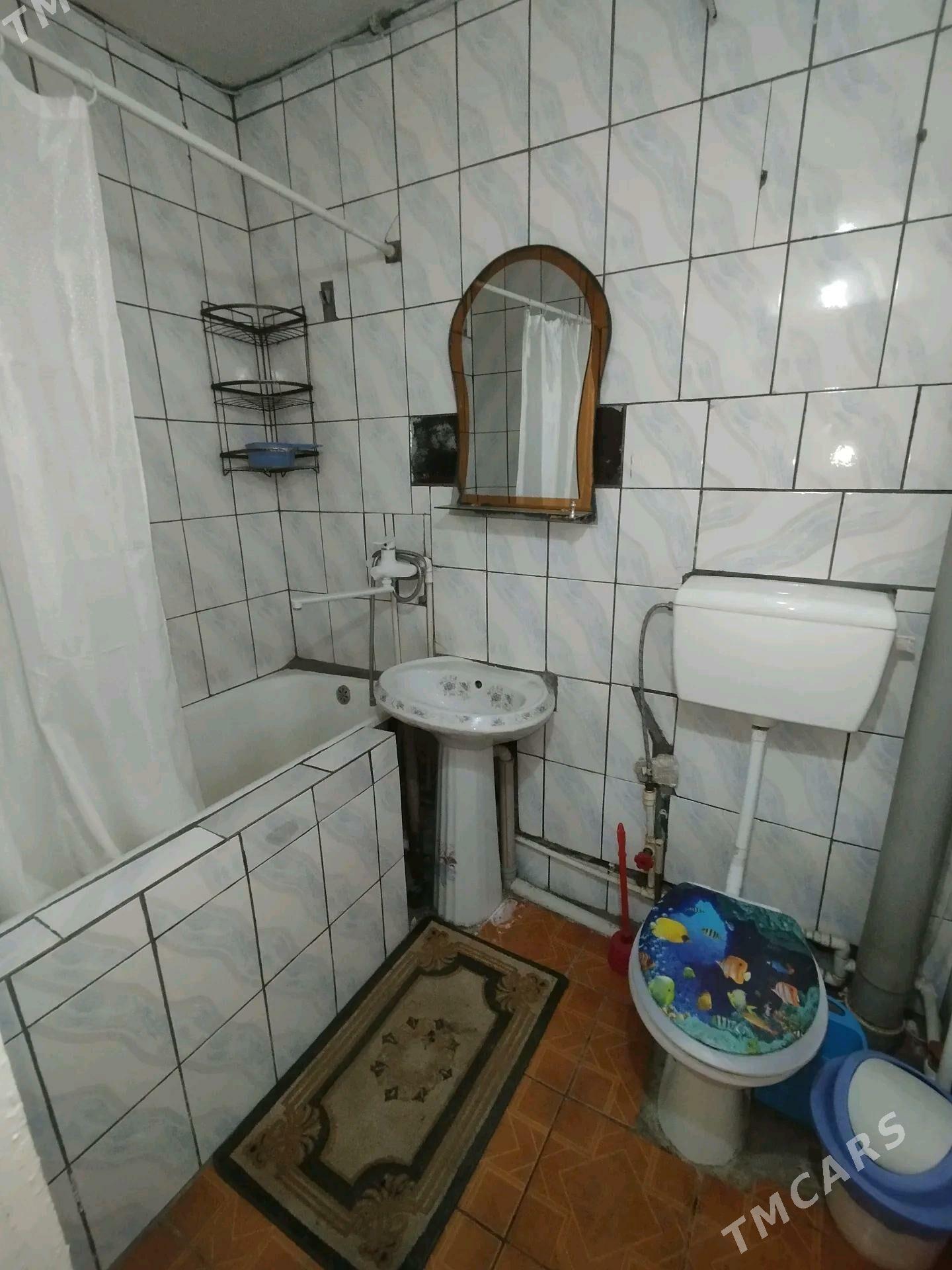 Satlyk jay - Mary - img 3