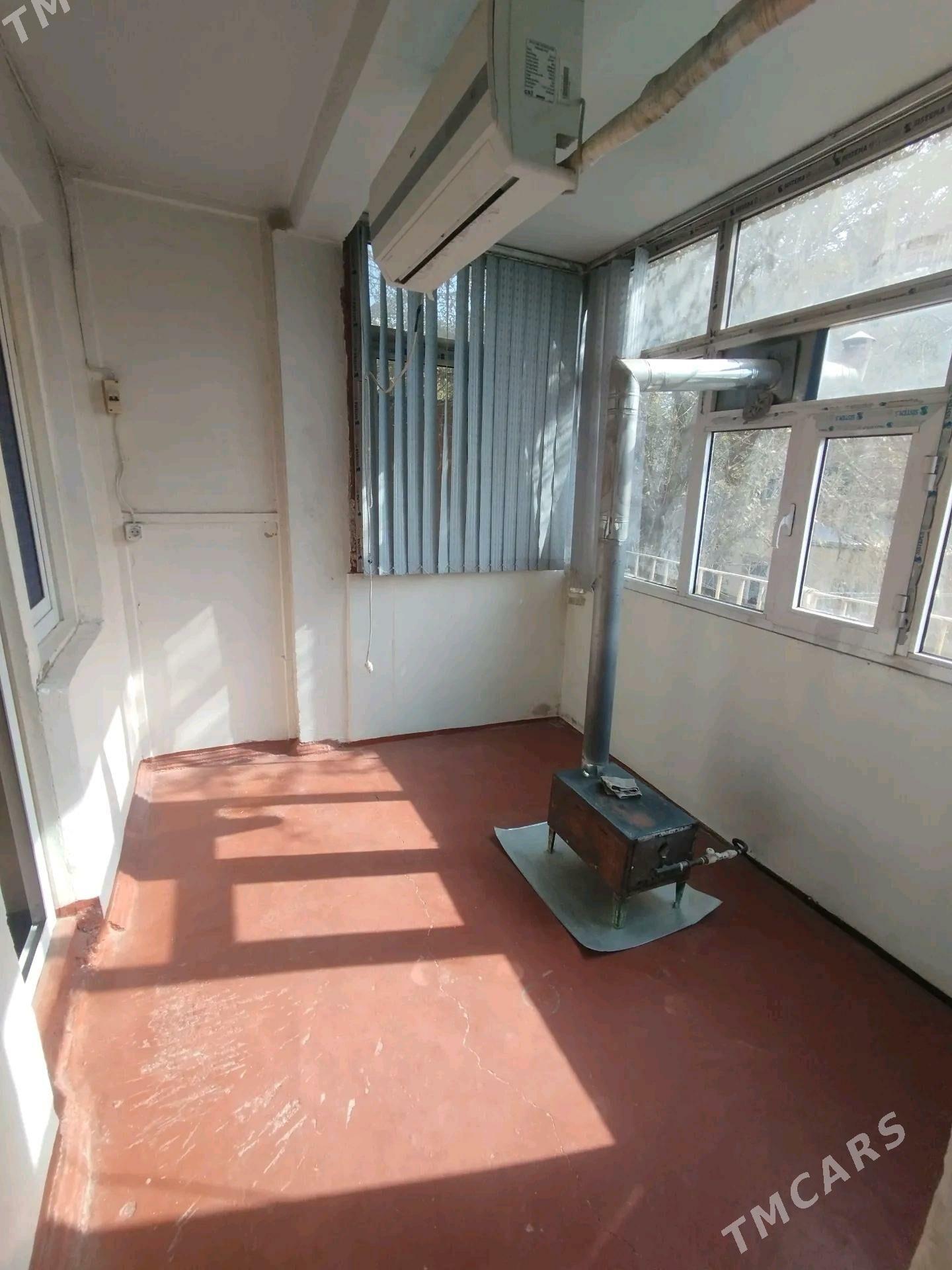 Satlyk jay - Mary - img 6