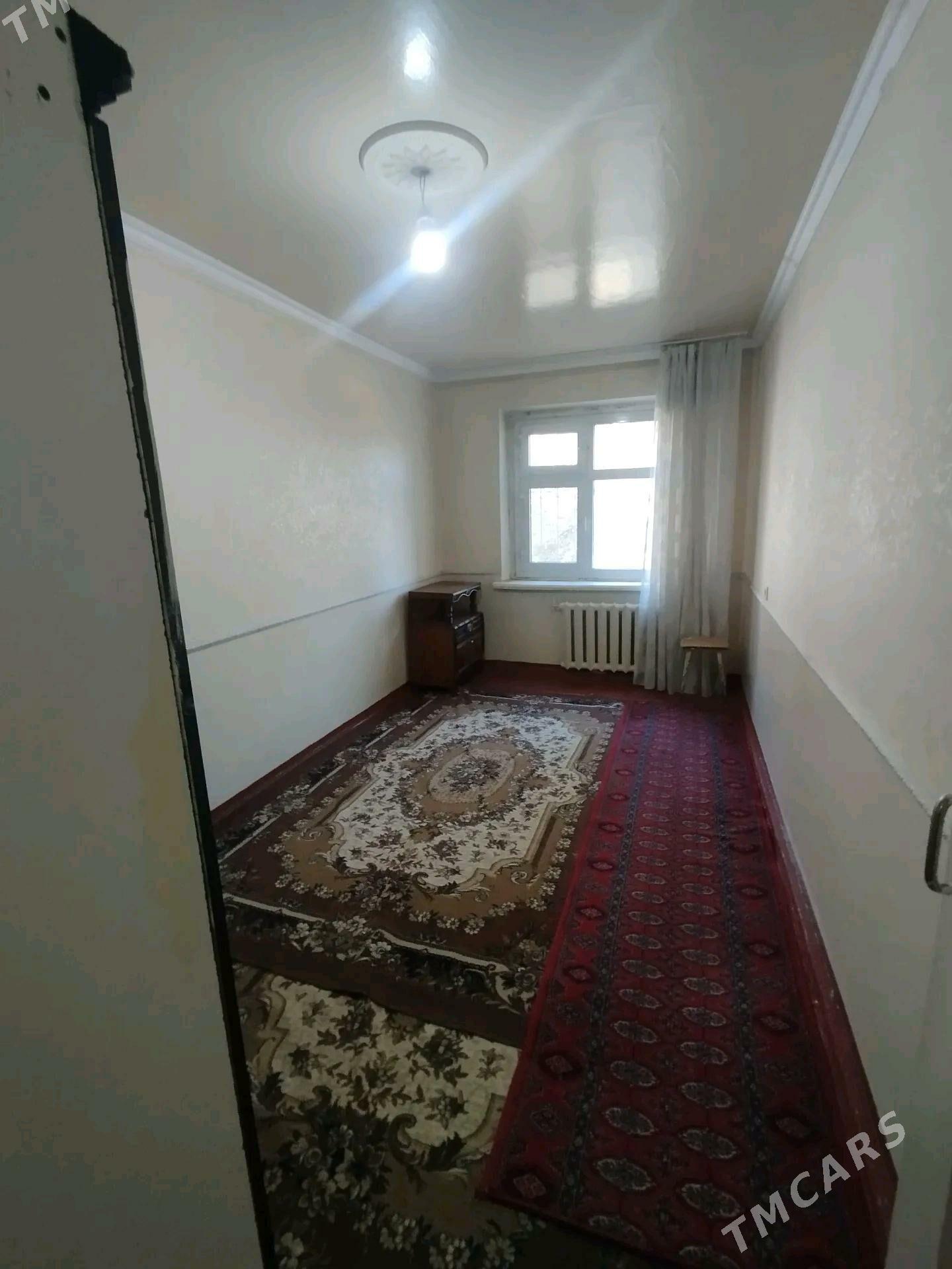 Satlyk jay - Mary - img 2