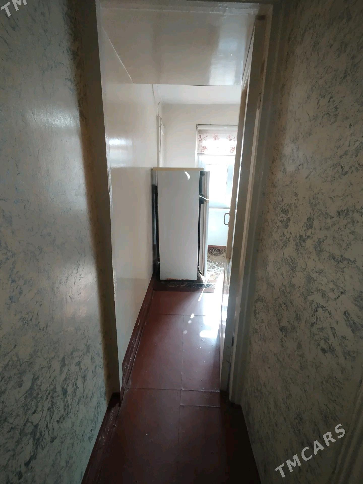 Satlyk jay - Mary - img 5