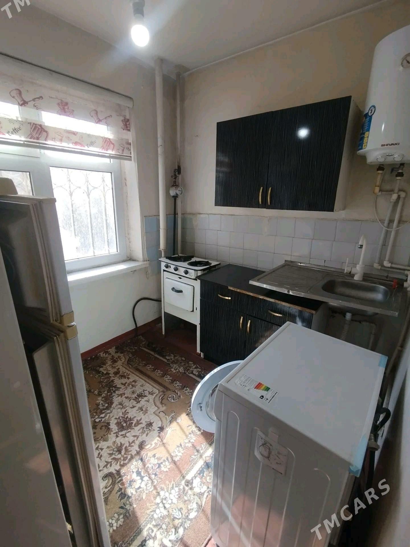 Satlyk jay - Mary - img 7