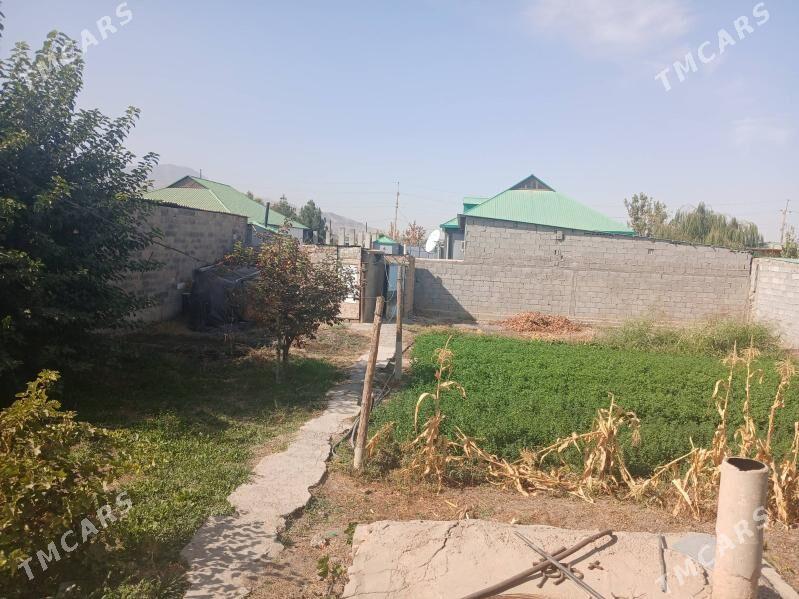 JAŸJAŸ - Багир - img 2