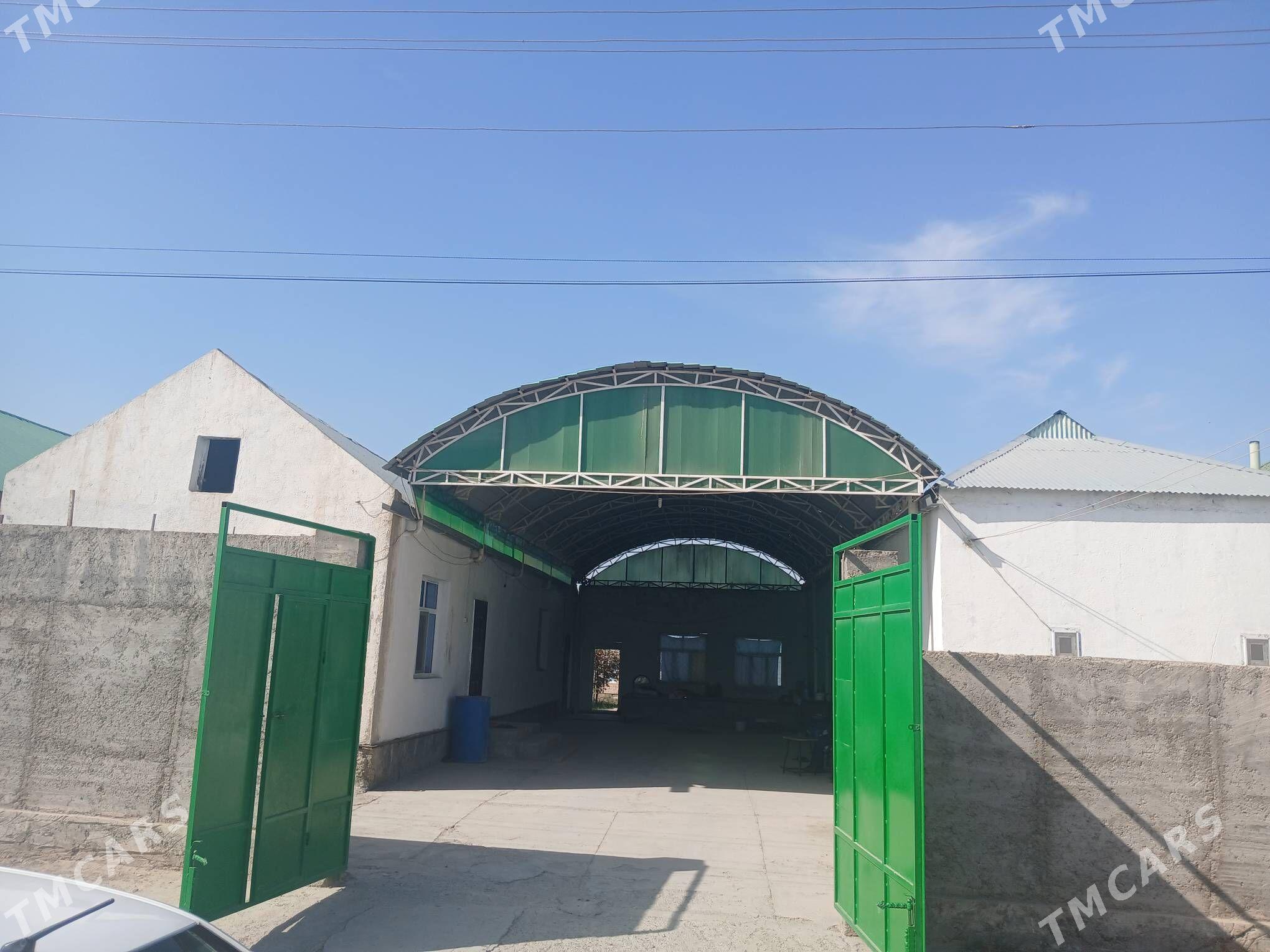 JAŸJAŸ - Багир - img 1