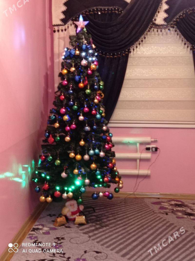 Çyraly yolka - Büzmeýin - img 2