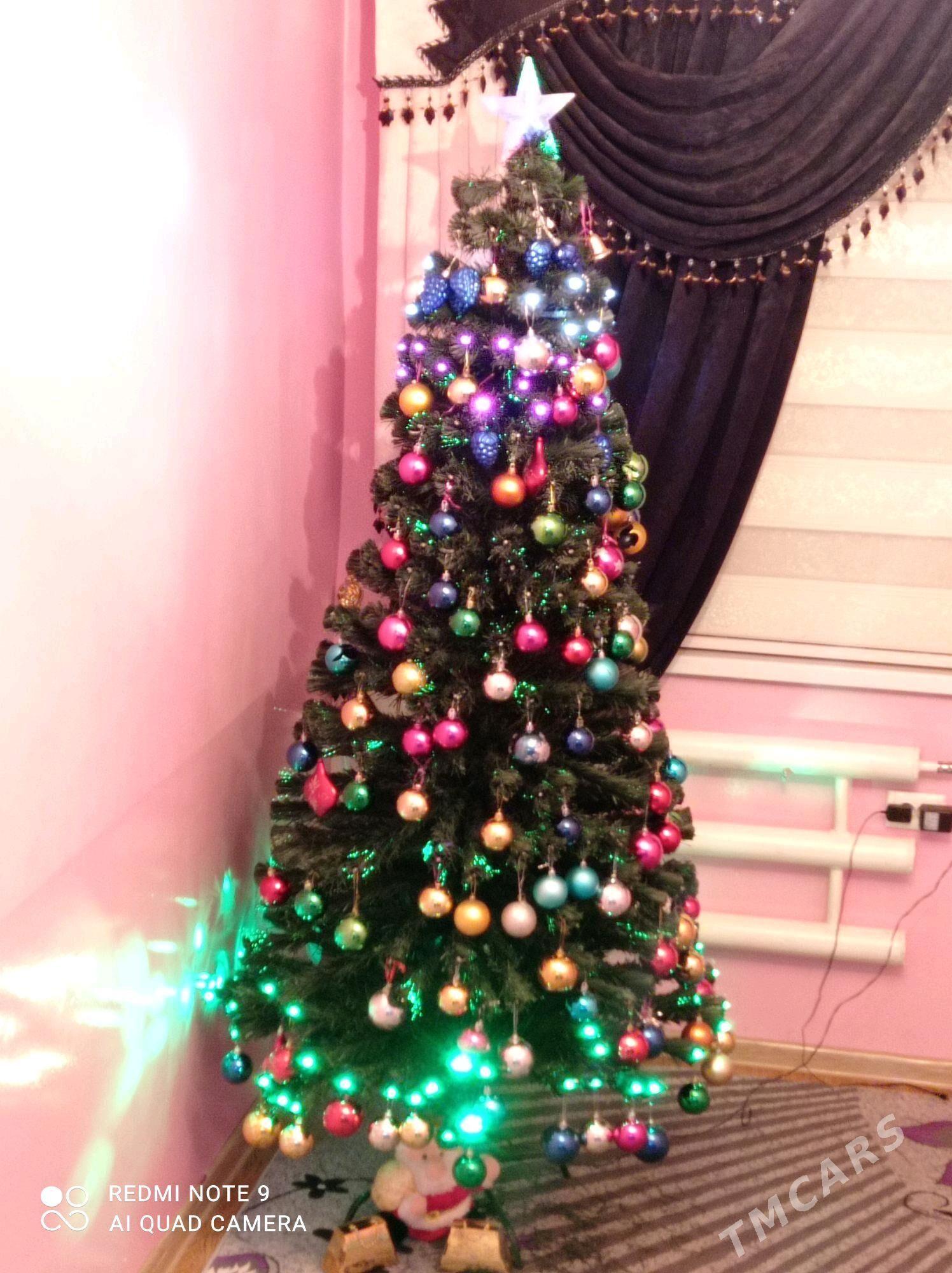 Çyraly yolka - Büzmeýin - img 3