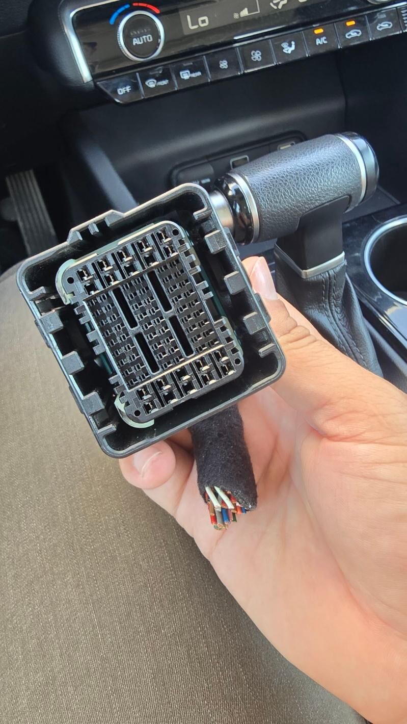 kompyuter steker 2 100 TMT - Sakarçäge - img 1