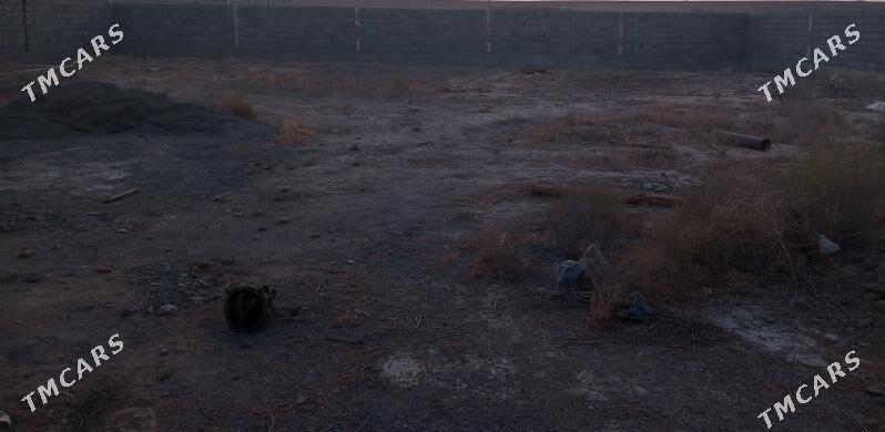 Ýeri kaka ylalaşyk bolar - Кака - img 3