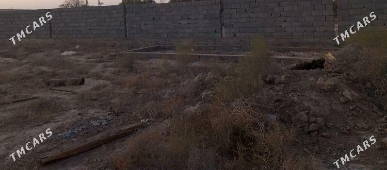 Ýeri kaka ylalaşyk bolar - Кака - img 4