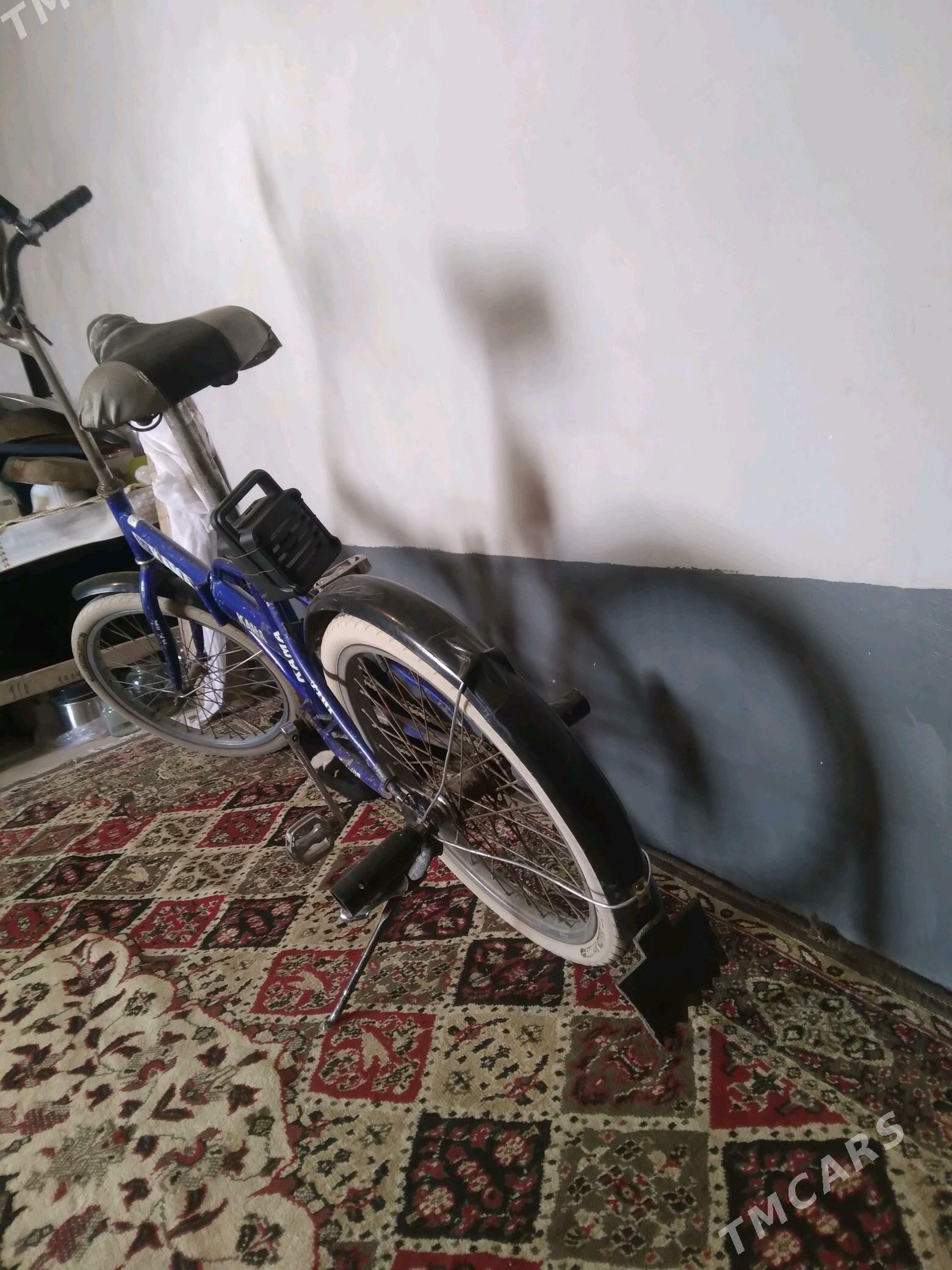 kama tigir - Tejen - img 3