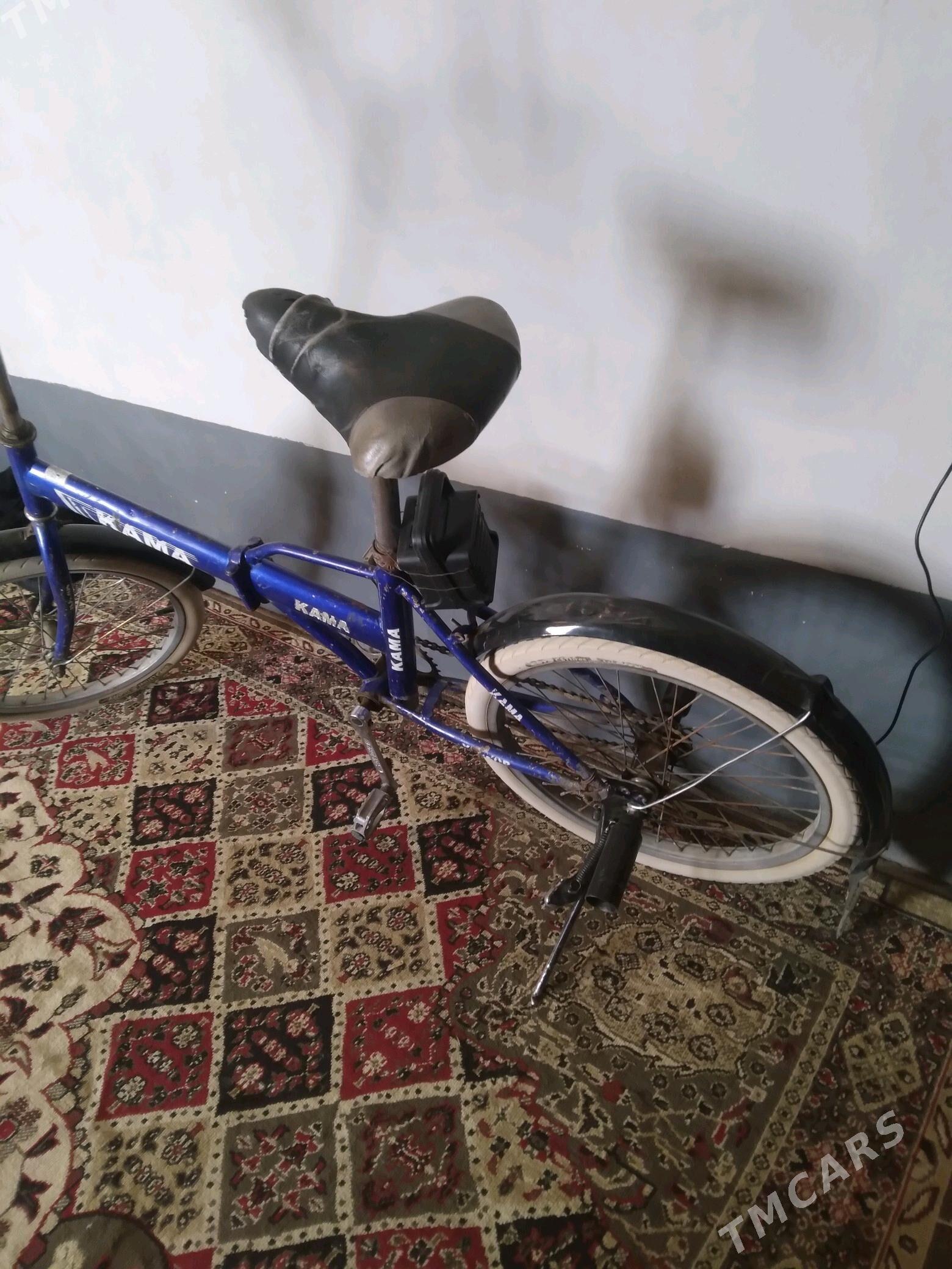 kama tigir - Tejen - img 4