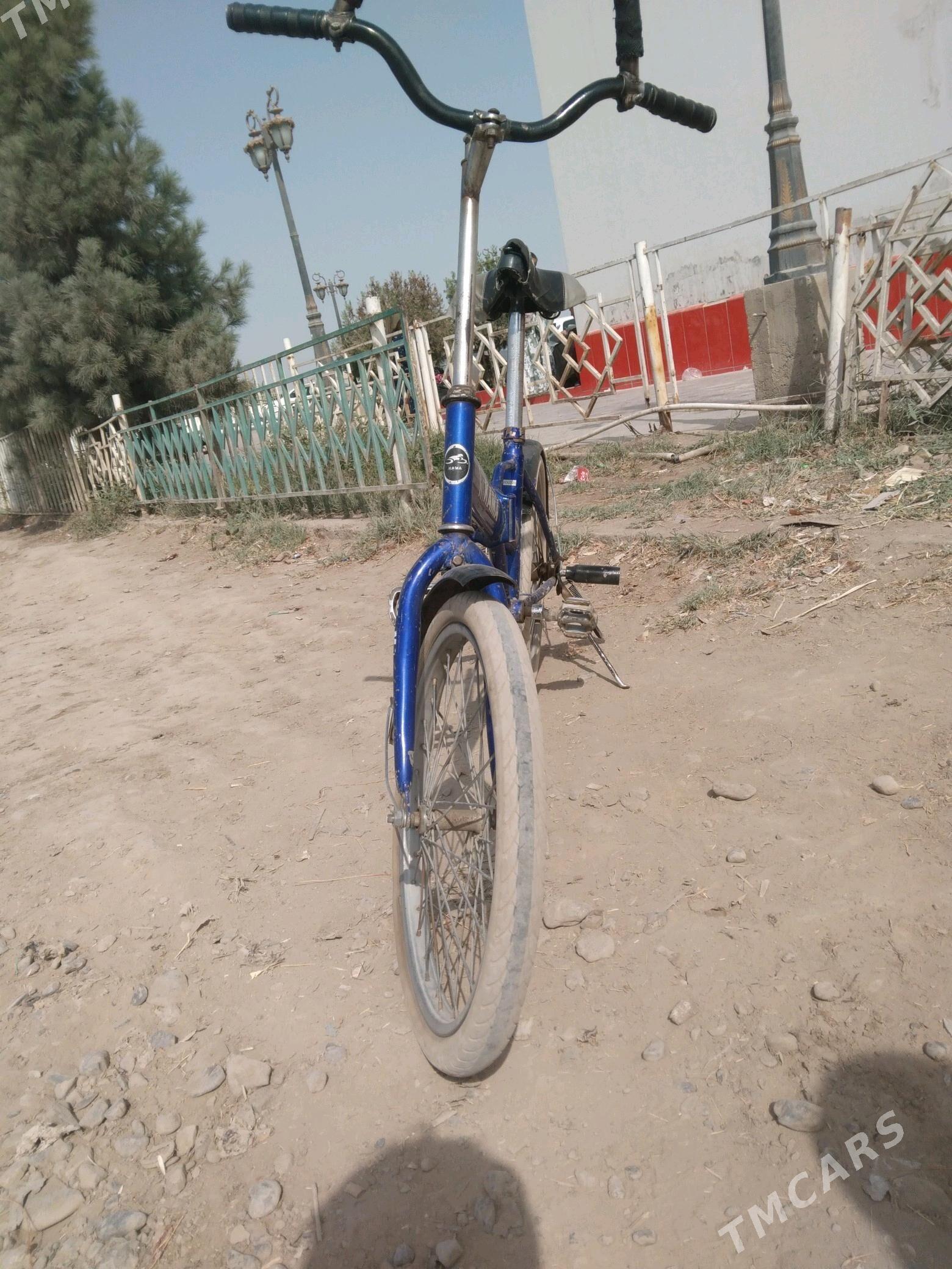 kama tigir - Tejen - img 2