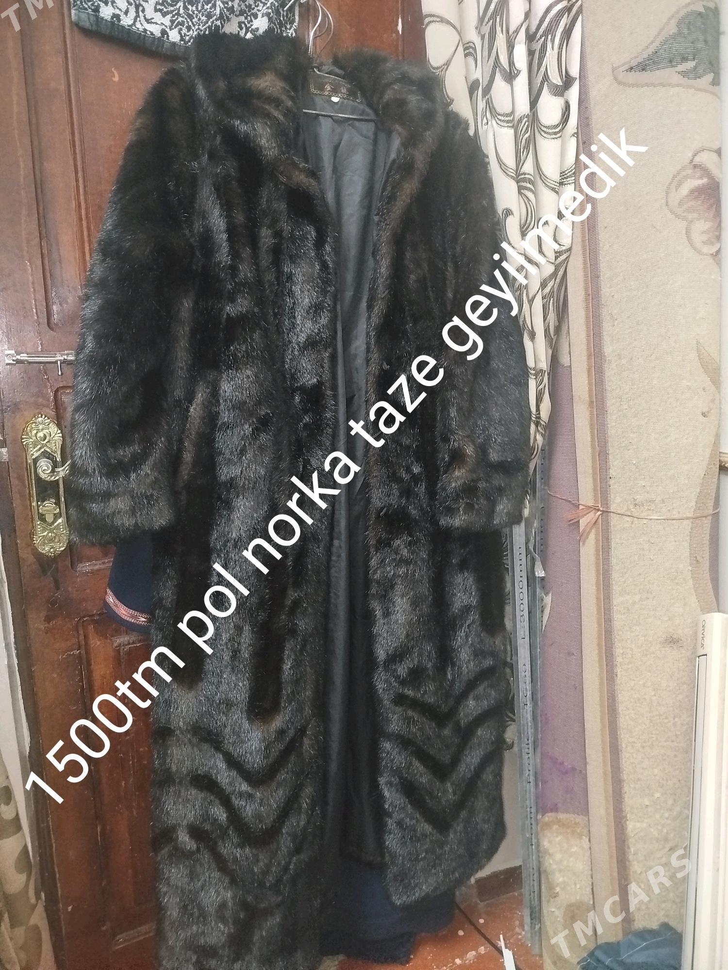 palto - Daşoguz - img 1