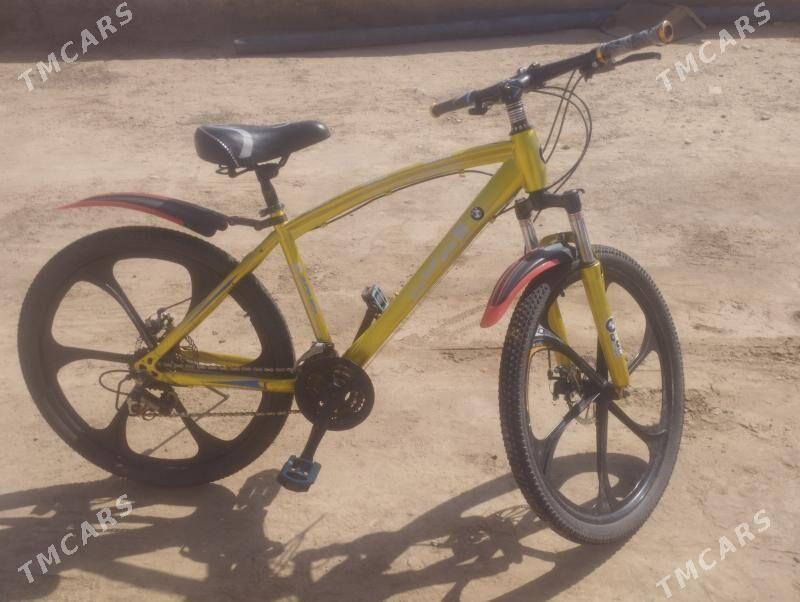 tigir - Tejen - img 2