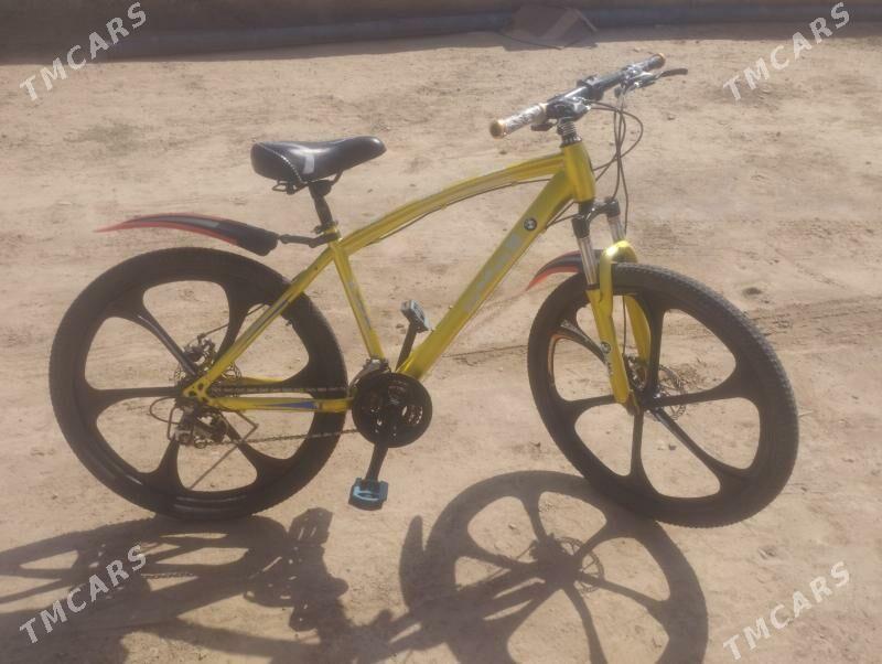 tigir - Tejen - img 3