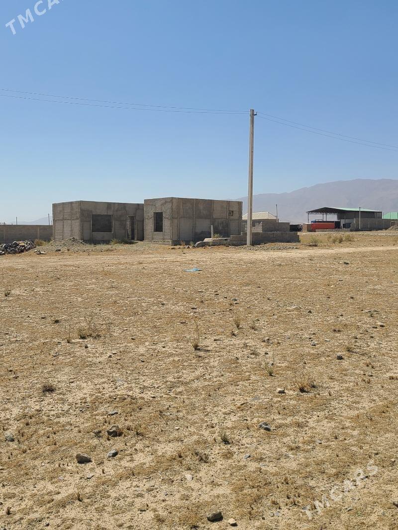 jaý - Бахарден - img 3