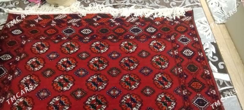 Haly - 15-nji tapgyr - img 2