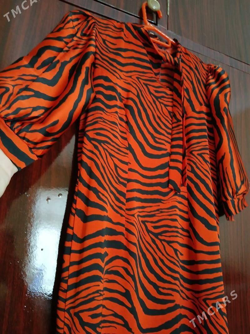 koynek garyshyk - Balkanabat - img 3