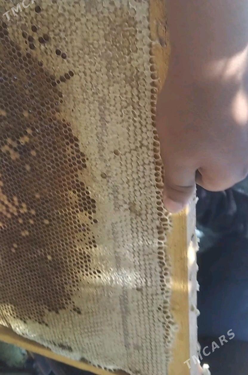 ary bal - Мары - img 3