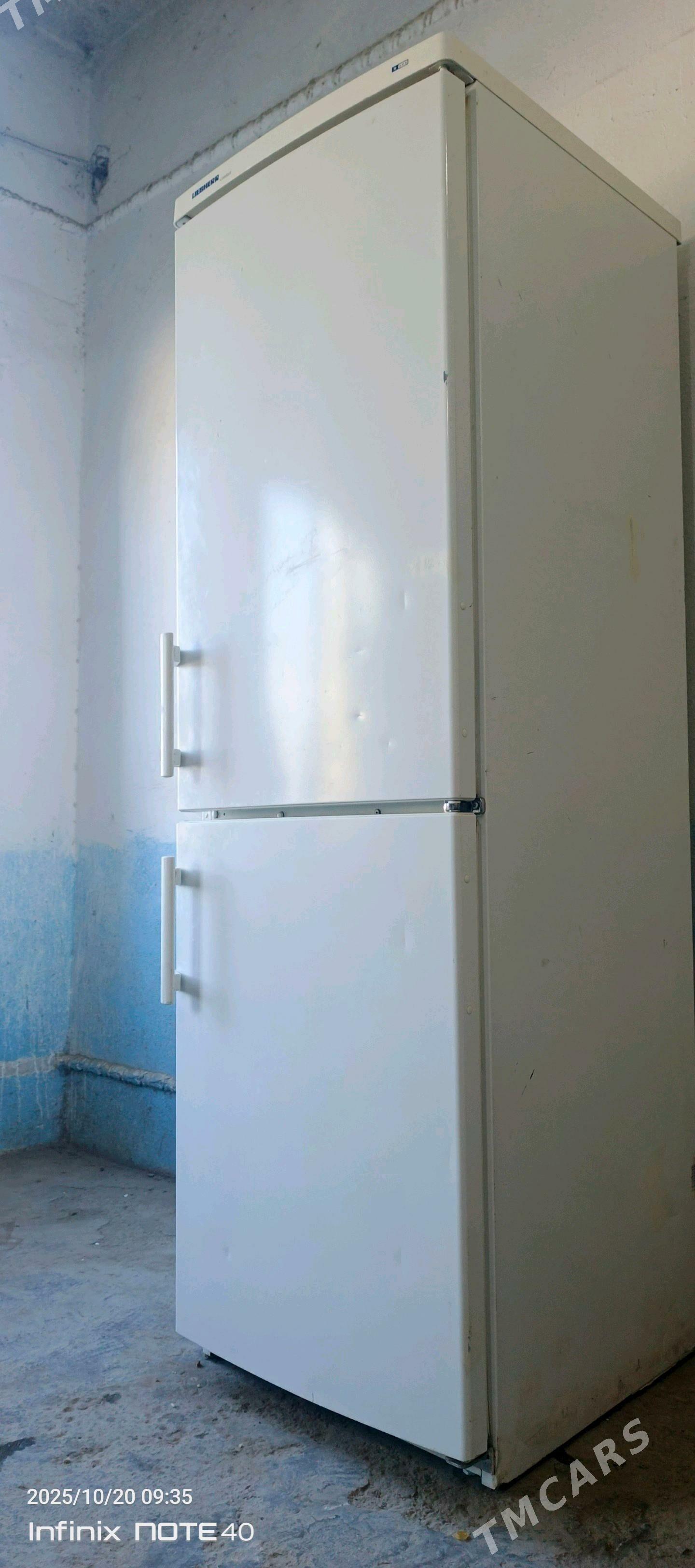 Xaladylnk boŷy 180 - Mary - img 2