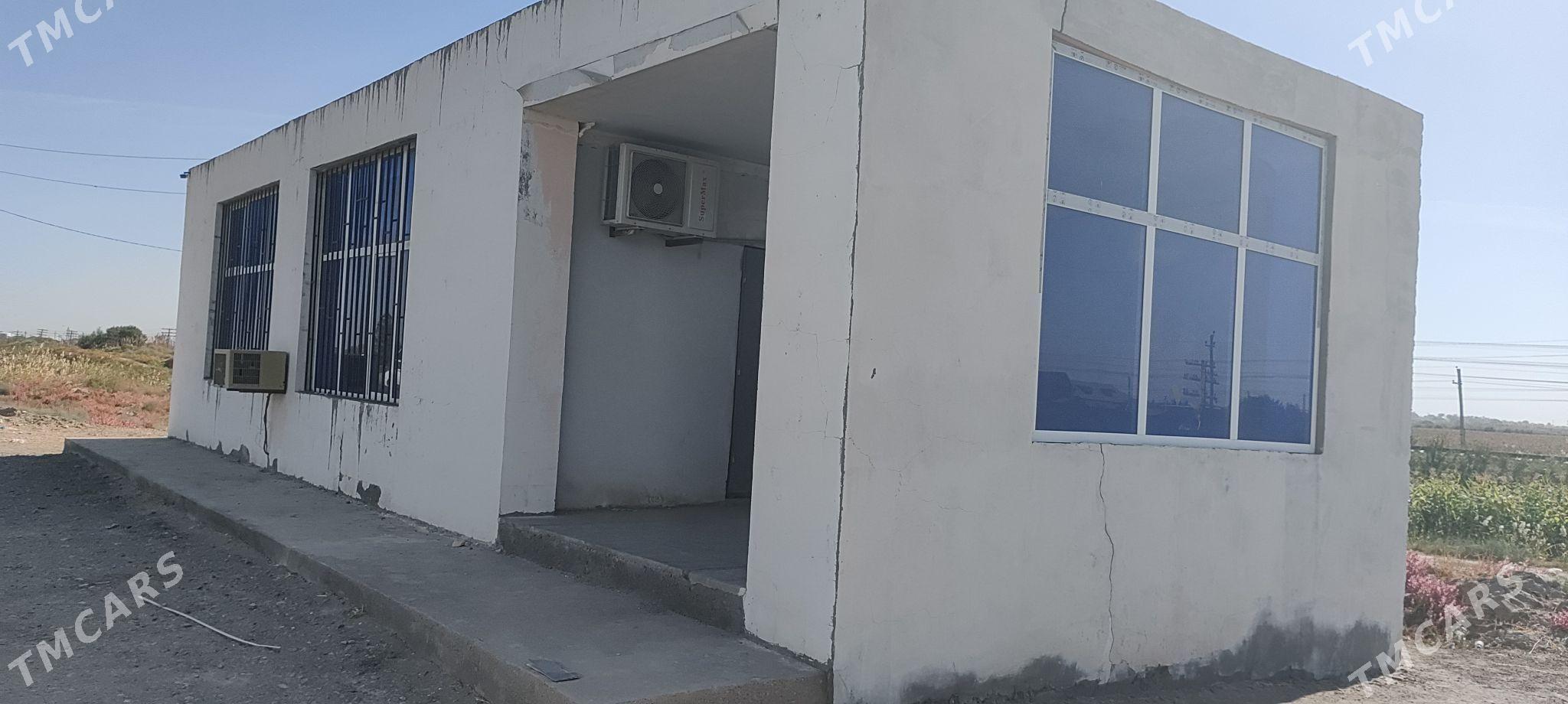 магазин остановка - Сейди - img 5