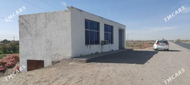 магазин остановка - Сейди - img 7