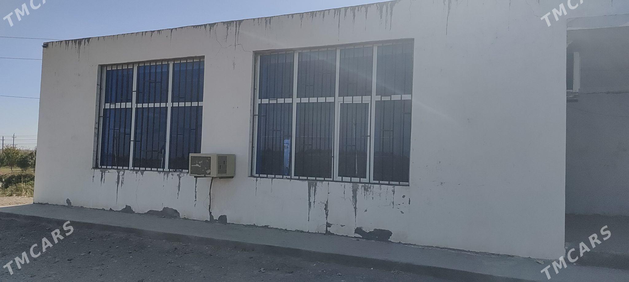 магазин остановка - Сейди - img 6