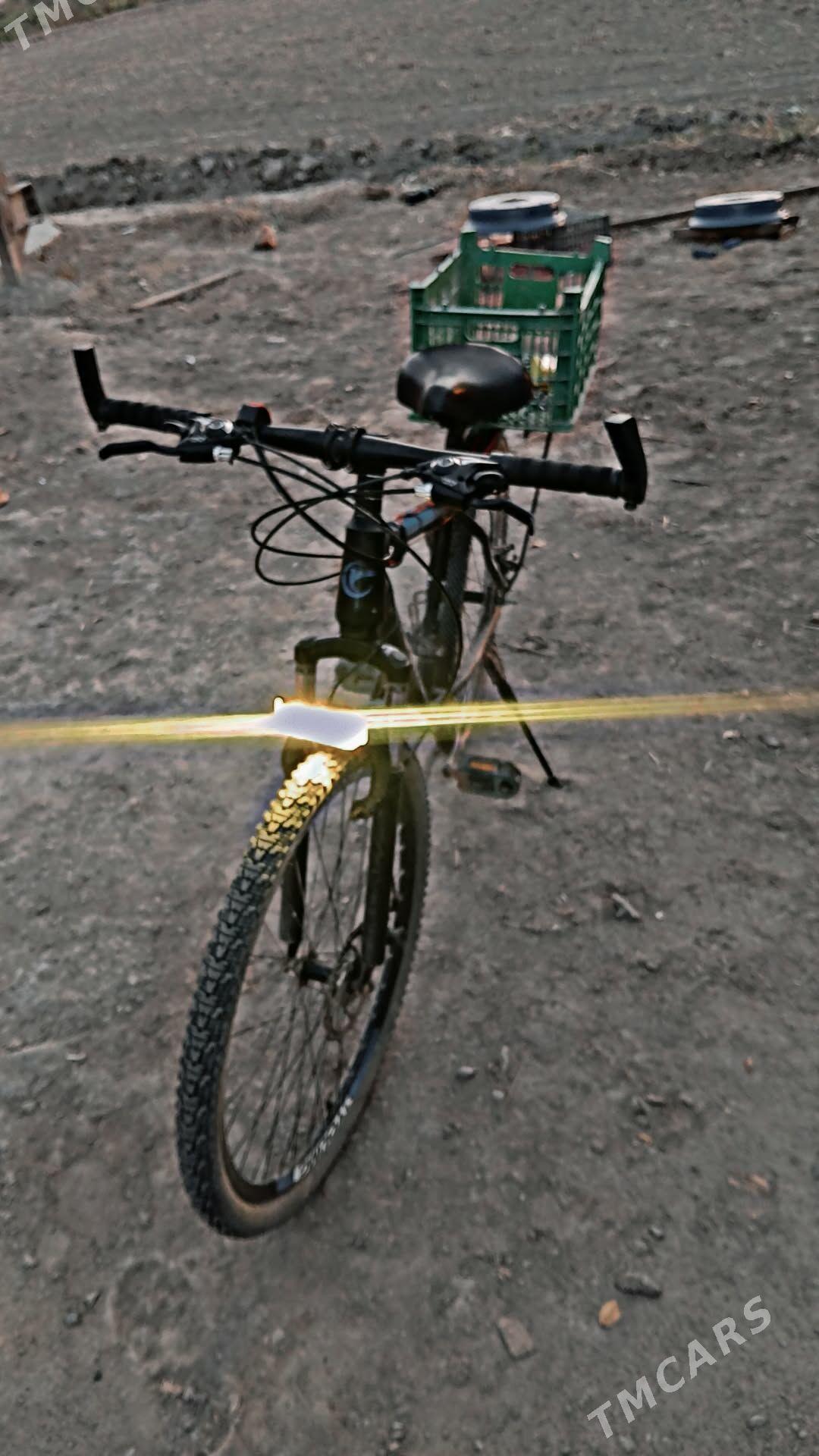 YOUMEIG welosiped velosiped - Köneürgenç - img 1
