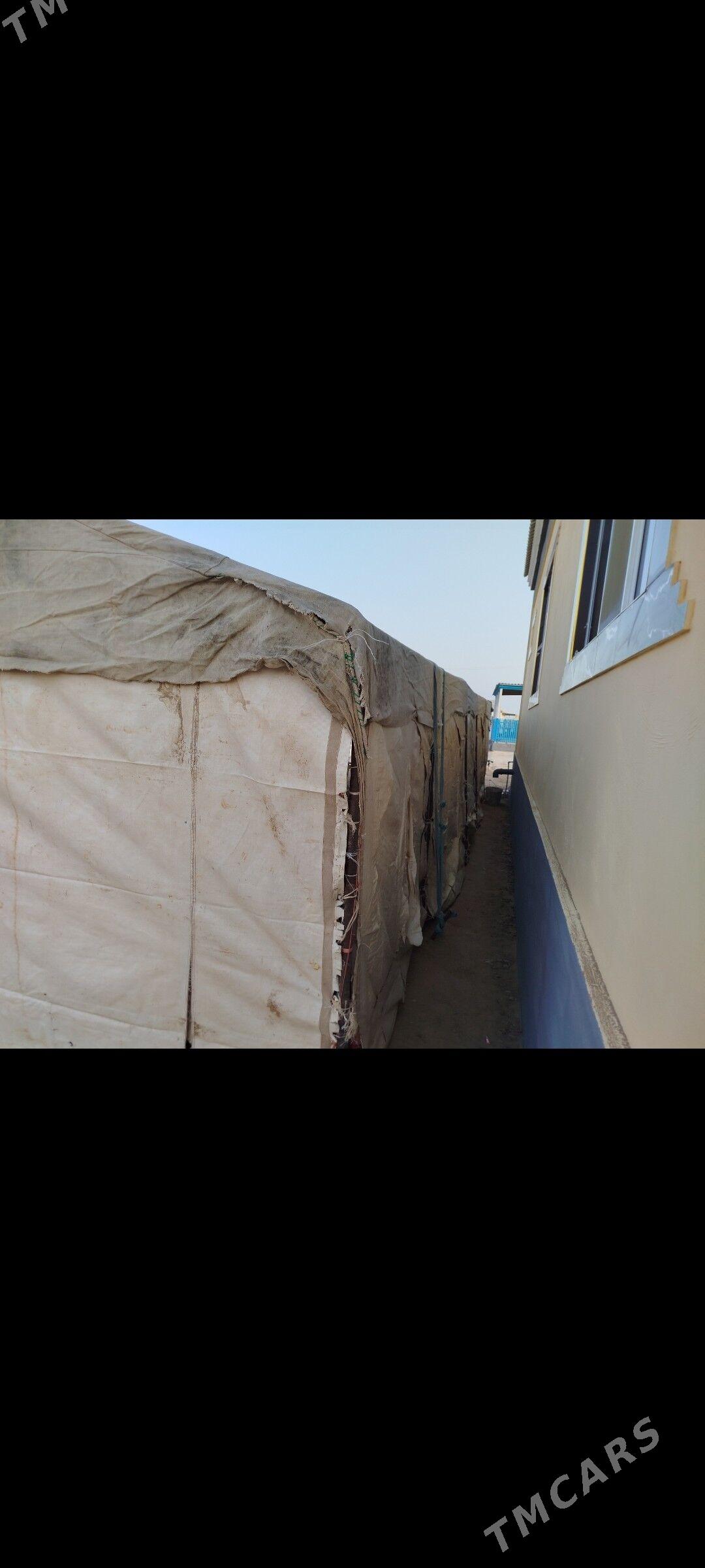 Palata - Эсенгулы - img 2