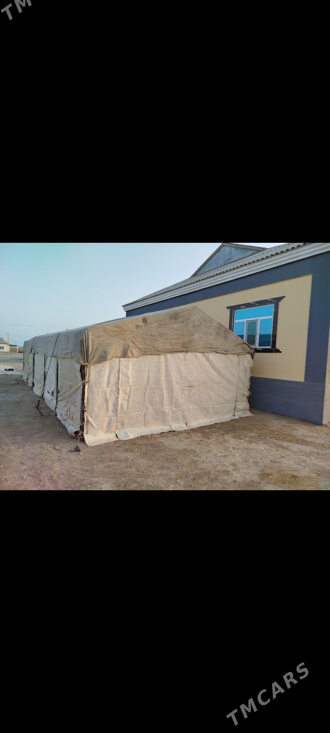 Palata - Эсенгулы - img 4