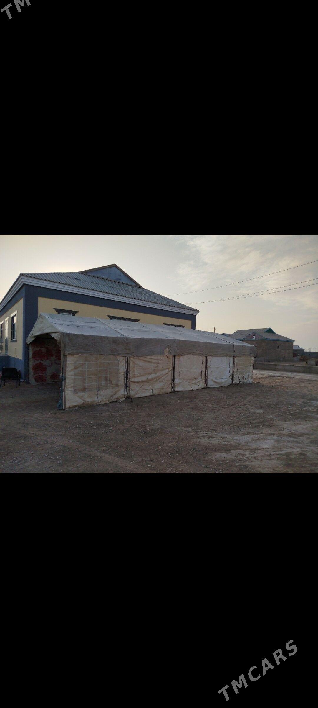 Palata - Эсенгулы - img 3