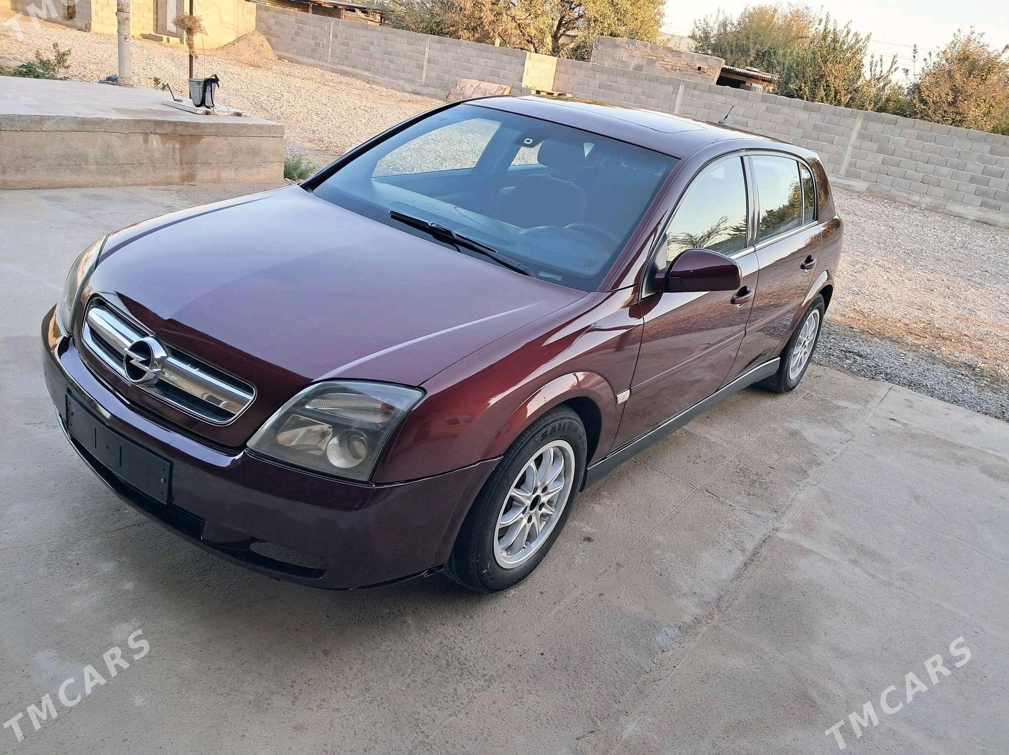 Opel Signum 2005 - 65 000 TMT - Кака - img 3
