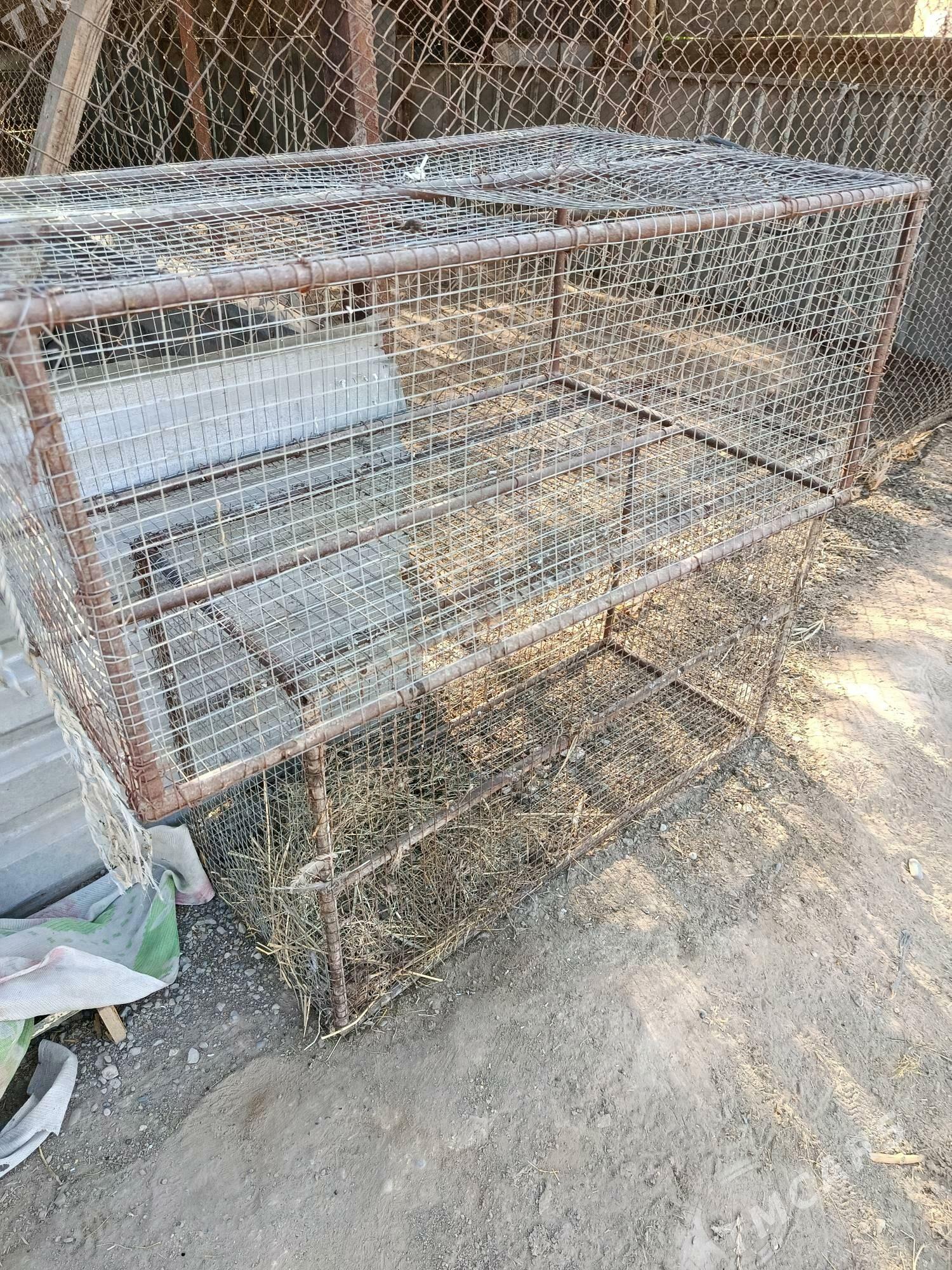 Towuk setka - Мары - img 1