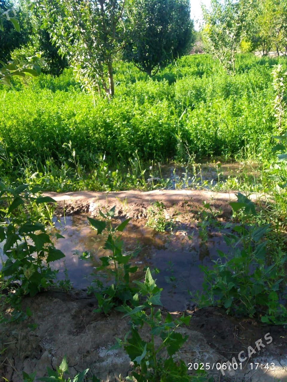 Satlyk bag - Шабатский этрап - img 2