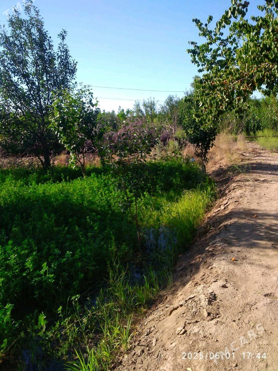 Satlyk bag - Шабатский этрап - img 5