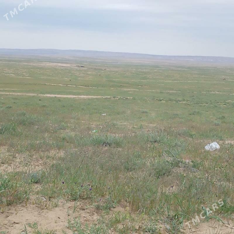 сатлык йер - Туркменбаши - img 1