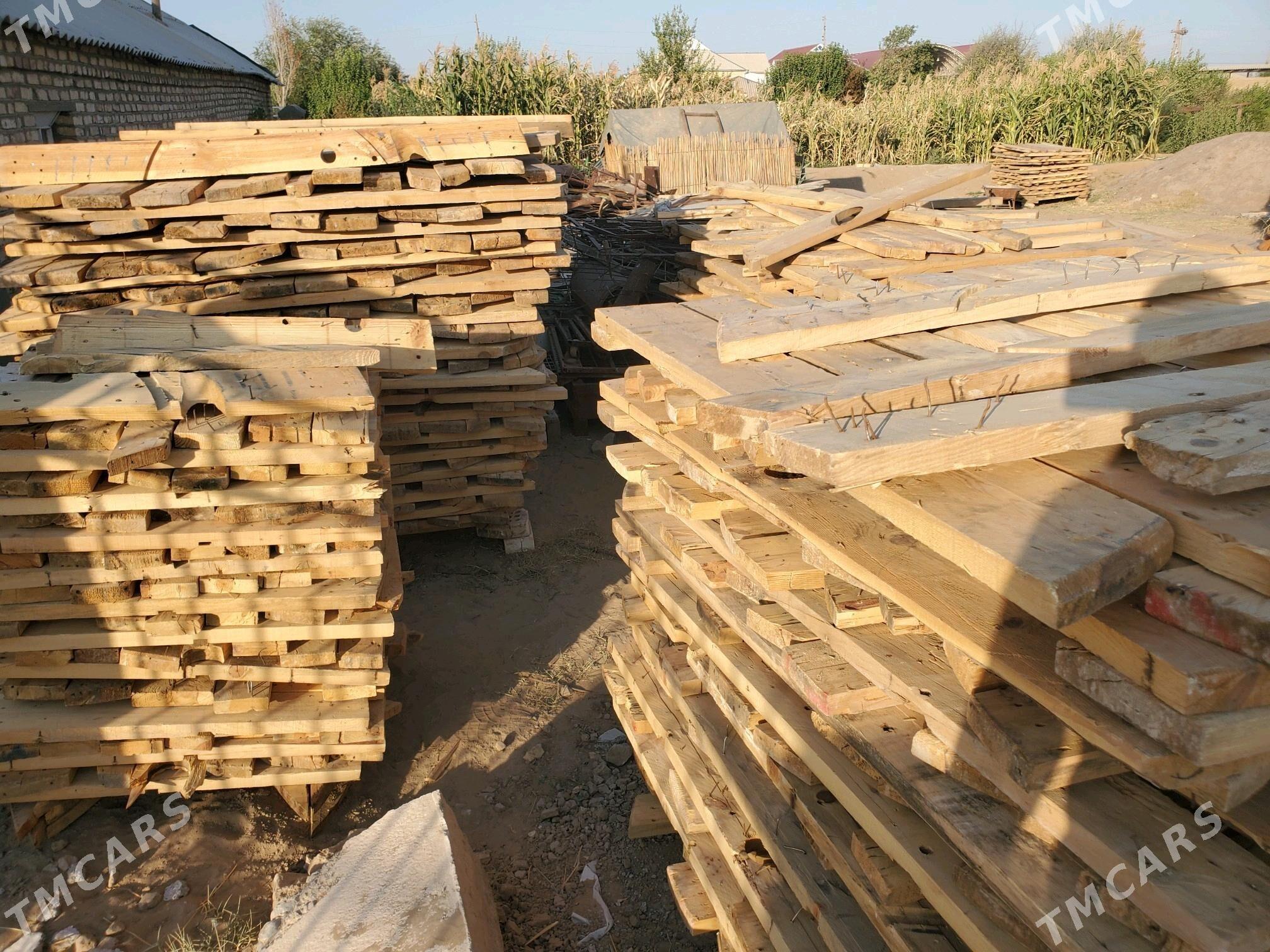 Polluk agac - Sakarçäge - img 3