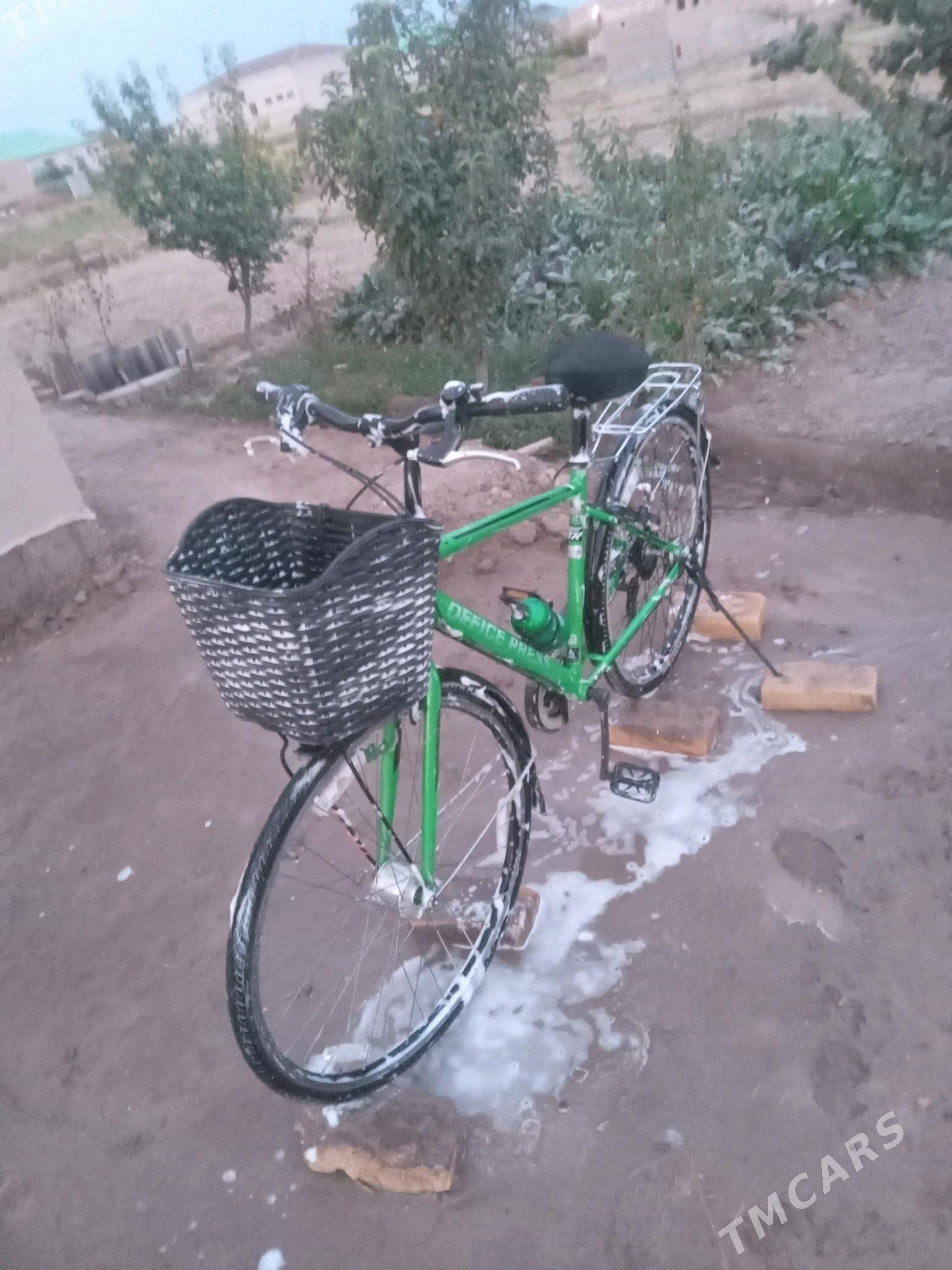 Yapon 28 - Gurbansoltan Eje - img 1