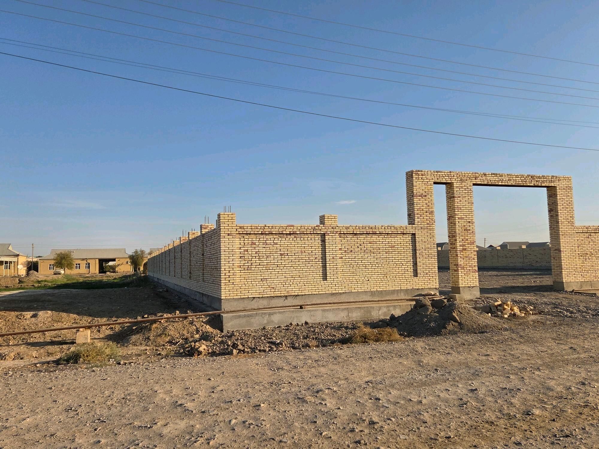 satlyk howly mellek - Sakarçäge - img 2