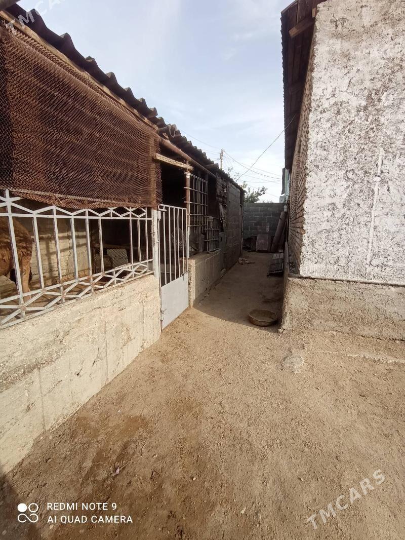 padgornyda plan jay - Balkanabat - img 11