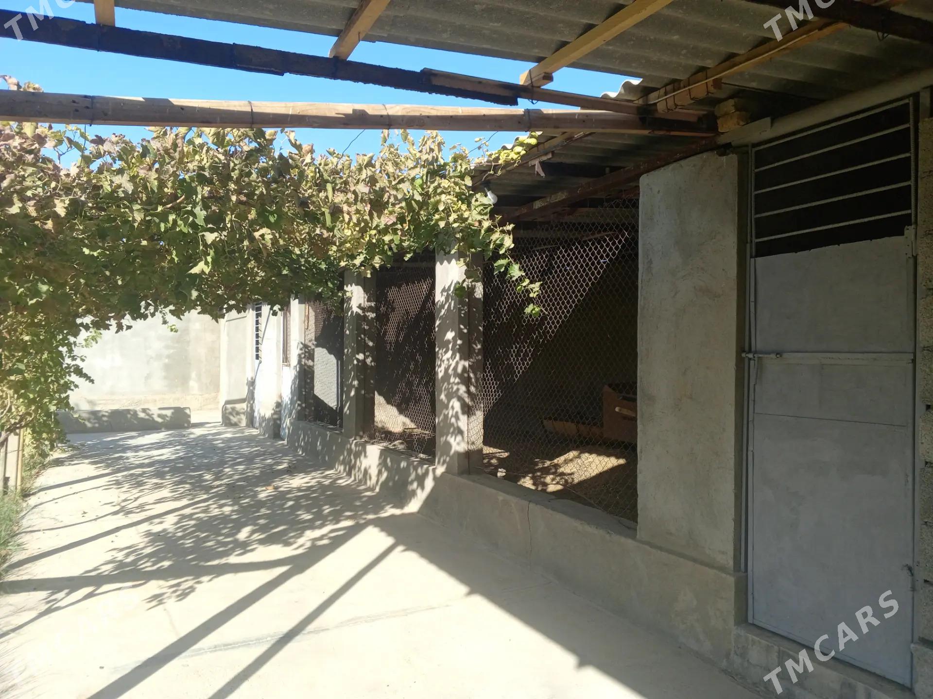 Gökdepe jaý - Гёкдепе - img 5