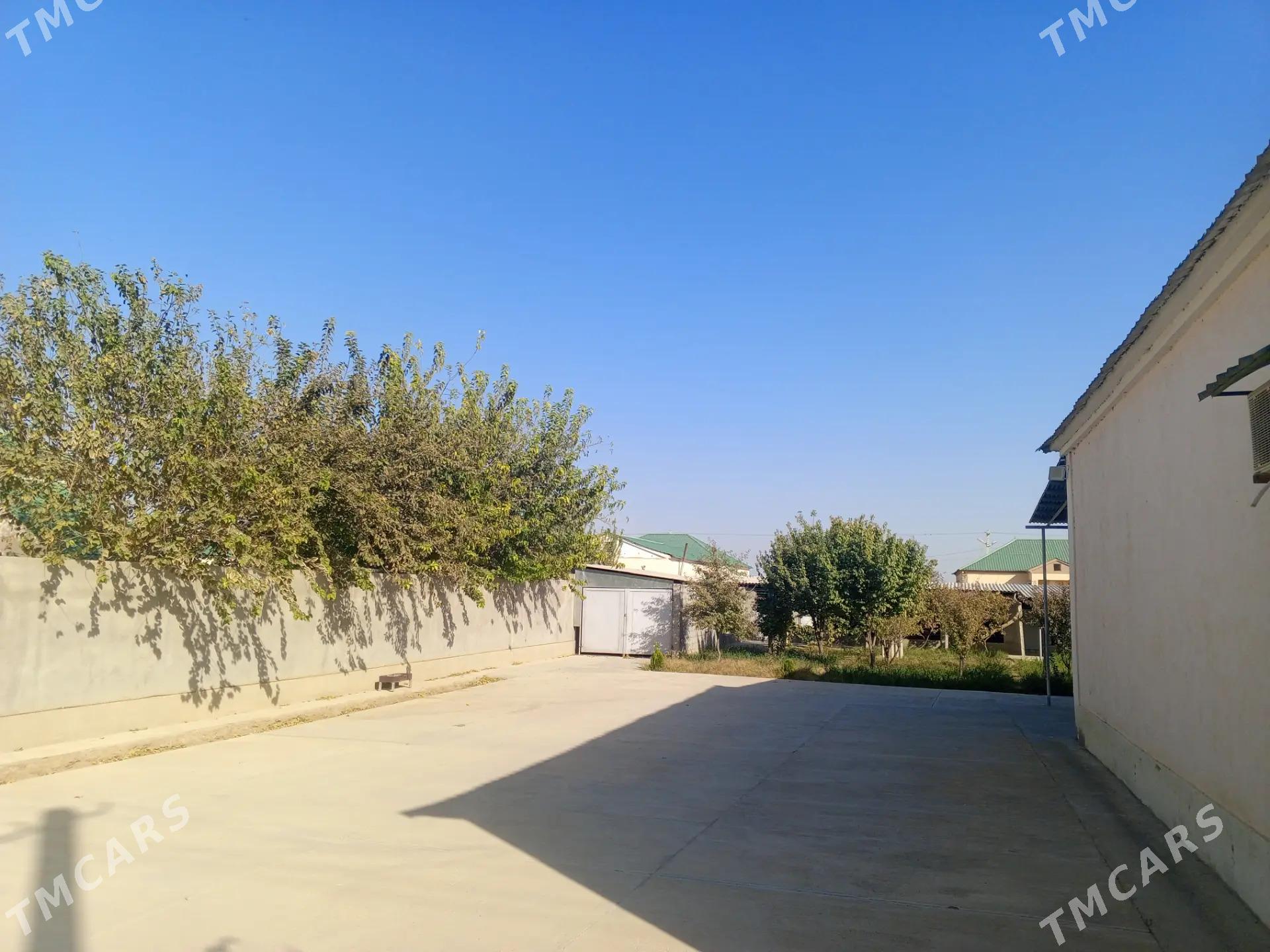 Gökdepe jaý - Гёкдепе - img 6