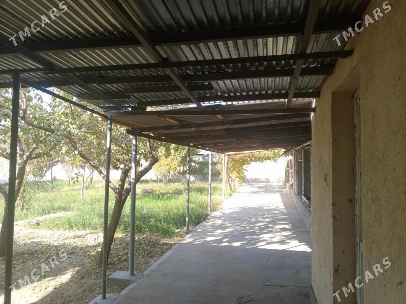 Gökdepe jaý - Гёкдепе - img 2