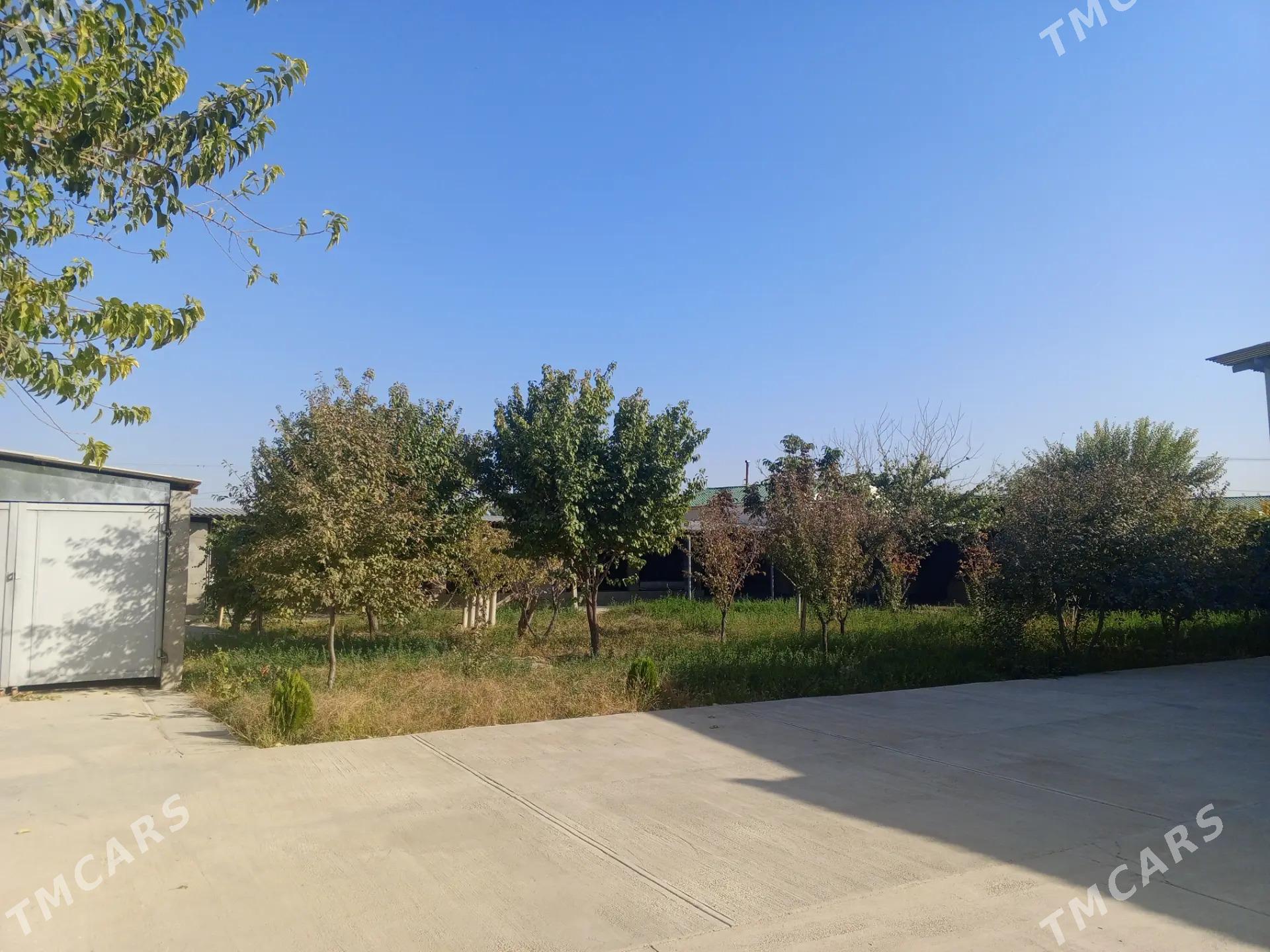 Gökdepe jaý - Гёкдепе - img 1