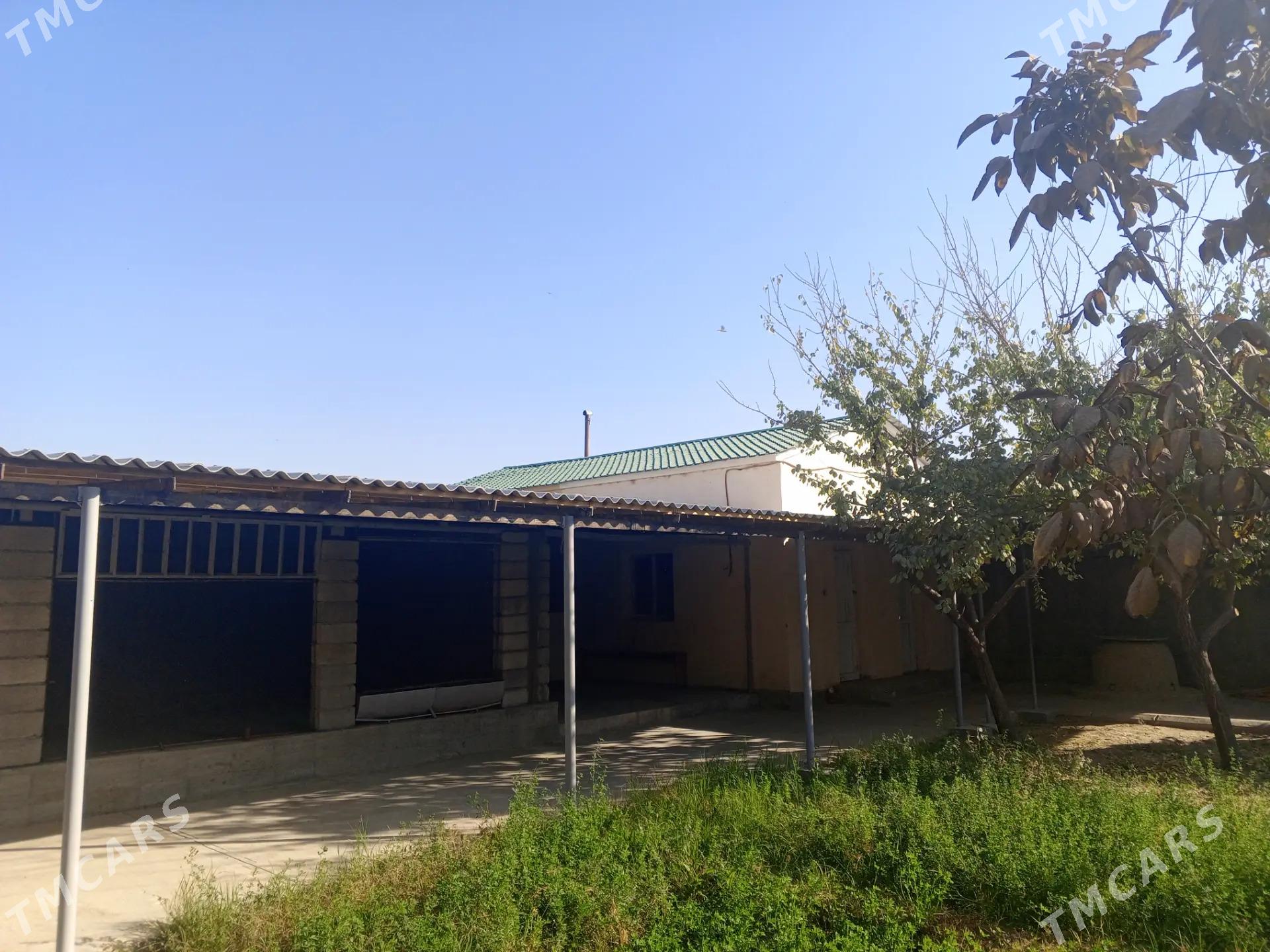 Gökdepe jaý - Гёкдепе - img 7