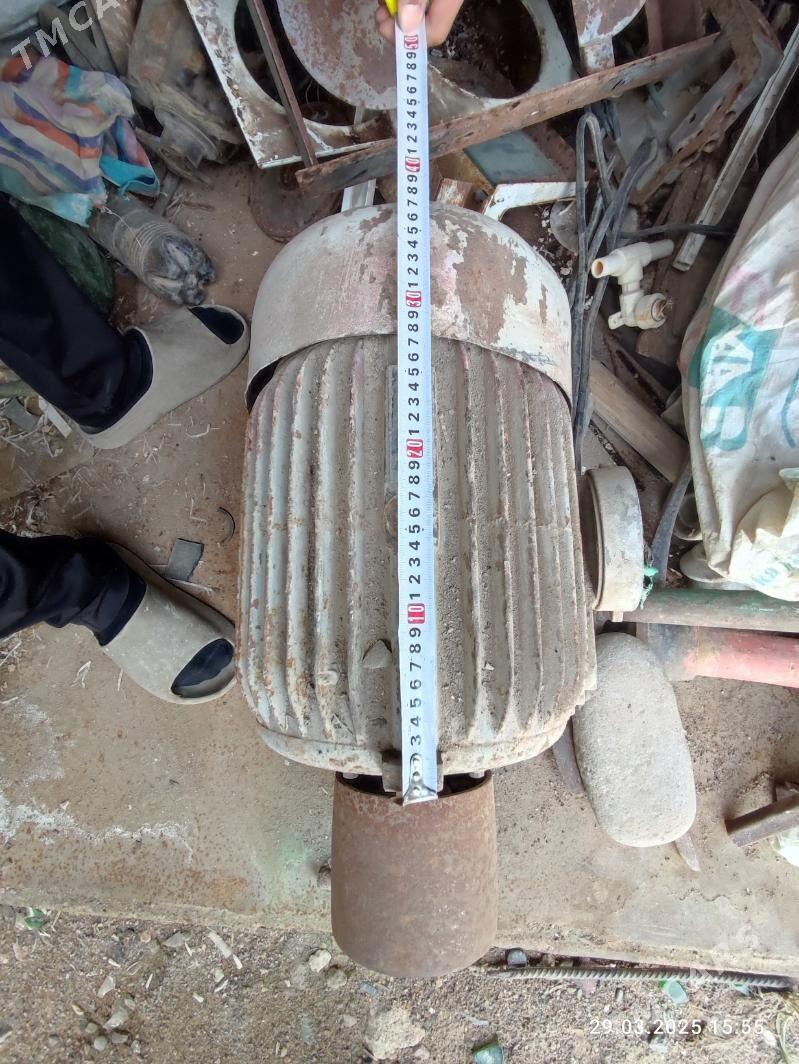 Diwižok - Туркменбаши - img 4