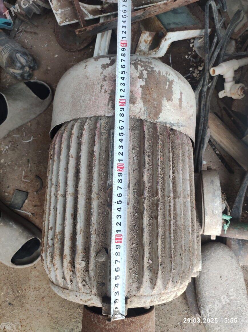 Diwižok - Туркменбаши - img 1