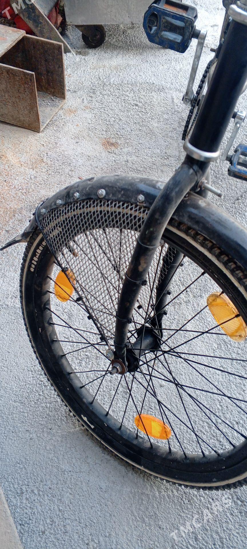 kama - Arkadag - img 2