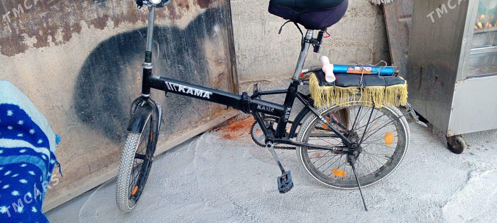 kama - Arkadag - img 3